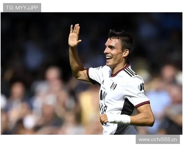 帕利尼亚与罗德里:防守型和控场型后腰的战术差异分析 帕利尼亚与罗德里:防守型和控场型后腰的战术差异分析